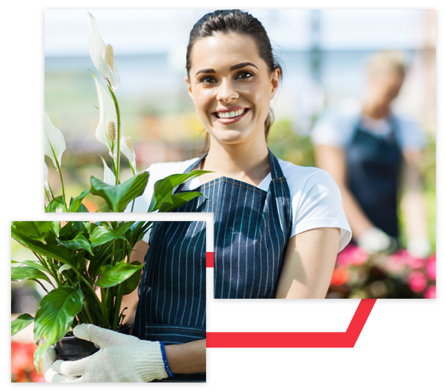 Gardener holding flowers in her self-owned business