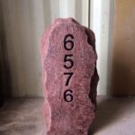 Gaylon-Wray-Denver-Area-768x1024-1